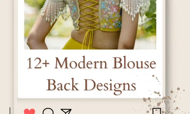 Top 12+ Modern Blouse Back Designs & Styles in 2024