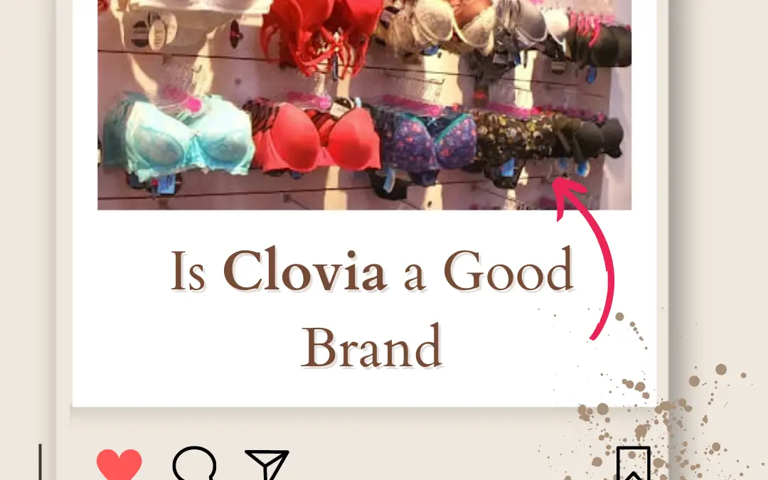 Is Clovia a Good Brand? Unpacking the Pros and Cons in 2024